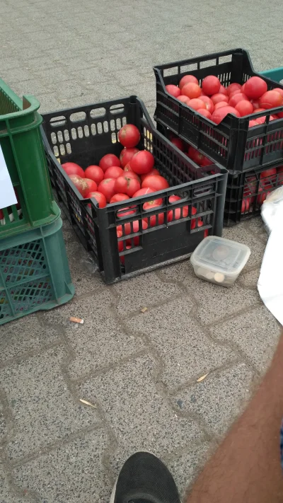 Oplyy - Kurrła kupować #pomidory mircy ( ͡° ͜ʖ ͡°) 
#gownowpis #niewiemjaktootagowac