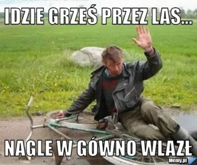 PieszyEasyRider - tak było ! #aferalasowa