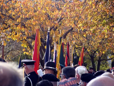 Z.....o - Dziś w UK i krajach Commonwealthu obchodzony jest Rememberance Day, nieofic...