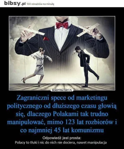 NaPewnoNieZyd - #obrazaniepolakow