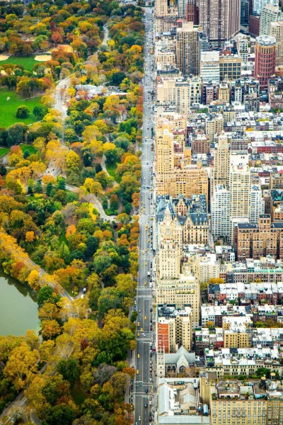 ColdMary6100 - Kontrast 
Central Park, #nowyjork #cityporn 
#foto Kathleen Dolmatch