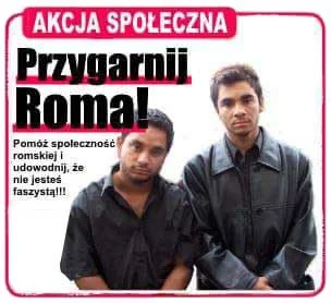 mrjetro - Przygarnij Roma! Akcja społeczna.