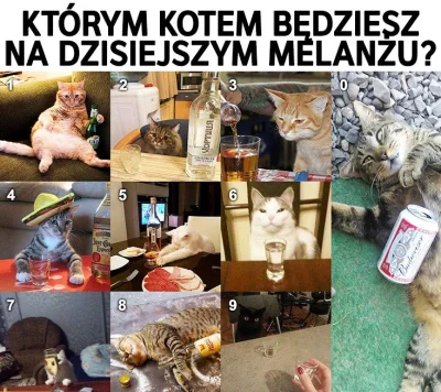 poszukujekota - #glupiewykopowezabawy #heheszki #koty #kitku
