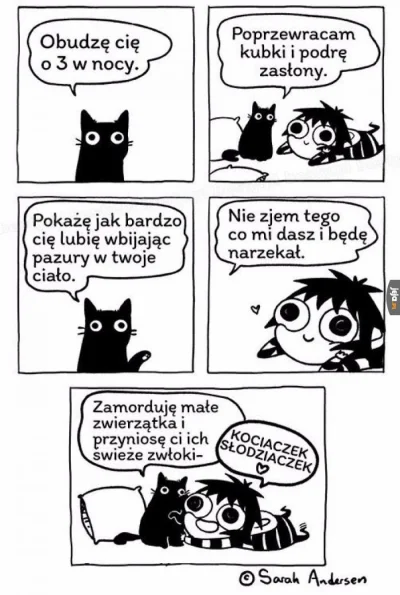 oszty - Za każdym razem to samo (｡◕‿‿◕｡)
#heheszki #koty #byloaledobre #masochizm