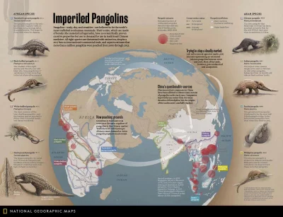 Lifelike - #zwierzeta #biologia #zoologia #infografika #graphsandmaps