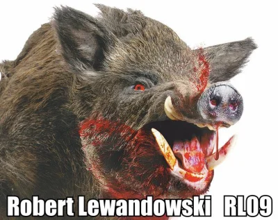 kre-dens - On jest glodny goli!
#mecz #lewandowski