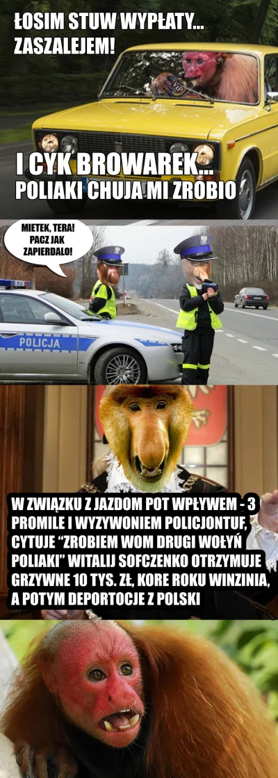 stworekpotworekpokaze_jezorek - Żeby się przeliczył jak ten Vitalij...