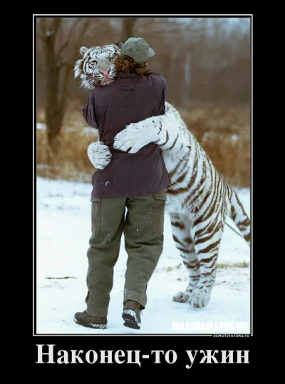 ojzygazyga - @Miecz12: wracasz z długiej podróży a tygrys cie tak wita.