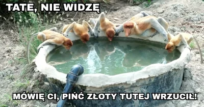 pogop - #pogopsuszy #heheszki #humorobrazkowy #polak