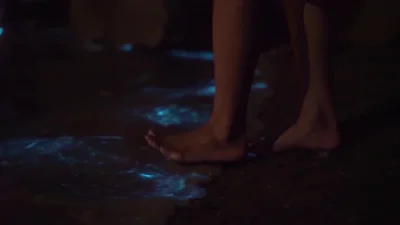 likk - Bioluminescencyjne algi 



#gif #dziwniesatysfakcjonujace