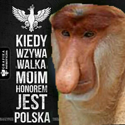 pan-ferdynand-magellan - #polak #humorobrazkowy #heheheszki