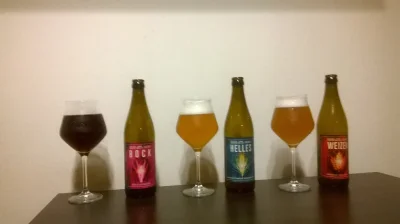 a.....l - Nowość na blogu czyli WIELKA degustacja. Bock, Helles i Weizen przygotowane...