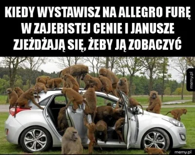 MIXSRT - ! spoiler#polak #nosaczsundajski #olx #allegro #januszebiznesu #motoryzacja ...