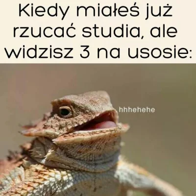 Luigi2137 - Pozdrawiam wszystkich mireczków i mirabelki po sesji :D
#studenci