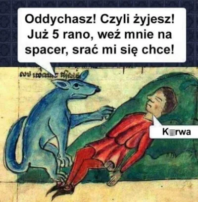 patka_wariatka - Kto już po spacerku? ( ͡° ͜ʖ ͡°)


#humorobrazkowy #poniedzialek ...