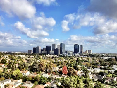 nnn - Century City, Los Angeles - Centrum poza centrum. Grupa wysokich wieżowców z da...