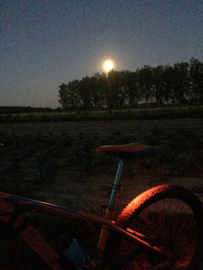 zielonamarchewka - 386337 - 50 = 386287

W dzisiejszej nocnej przejazdzce po Lesie ...