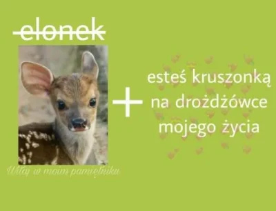 A.....k - Macie więcej memow z tej serii? #humorobrazkowy