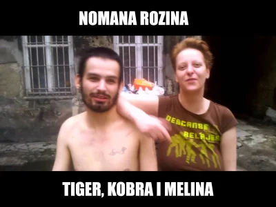 t.....i - #bonzo #bekazprawakow #patostreamy