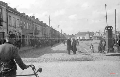 Piezoreki - @kapaxa: No to wyglądało jak jakieś klepisko z losowo powtykanymi drzewam...