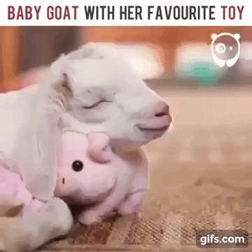 bioslawek - Nie tylko ludzie kochają maskotki( ͡° ͜ʖ ͡°)
#ciekawostki #obrazki #...