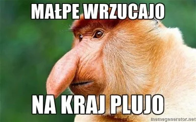 Iperyt - Spora kolekcja memów z Nosaczem:
klik
#polak #humorobrazkowy #nosaczsundaj...