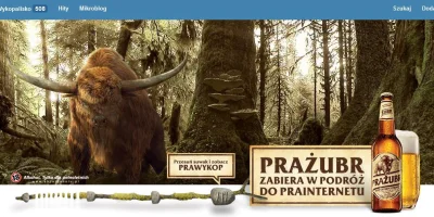 enforces - Co ja widzę na praWykopie. :) #prazubr #piwo