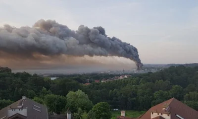 engels - #pozar #gdansk #trojmiasto #fotografia 

Gdańsk płonie - foto z dziś
http...