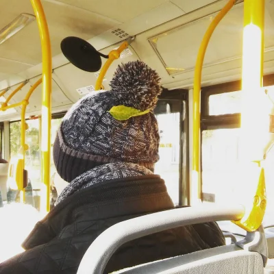 q.....o - Wsiadł do autobusu człowiek z liściem na głowie 

#bialystok #komunikacja...