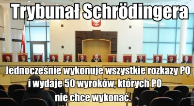 6c6f67696e - #heheszki #polityka #neuropa #trybunalkonstytucyjny