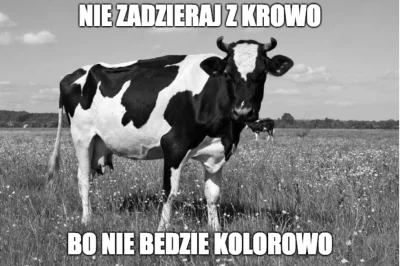 P.....1 - #humorobrazkowy #polonizacjamemow