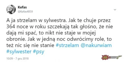 iErdo - XD
#zwierzaczki #heheszki #sylwesterzwykopem #psy #koty