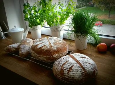 NieMaZeBoli - Od roku tylko chleb na zakwasie :-)