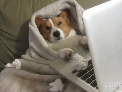 przyzwoity - #tfwnogf #podrywajzwykopem