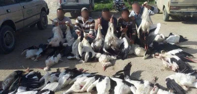 ZAWADIAK - A w Libanie bydlaki zabijają te niewinne stworzenia.
Na szczęście Bułgari...