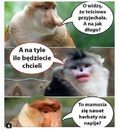 gientkaszyja - #heheszki #humorobrazkowy #nosaczsundajski