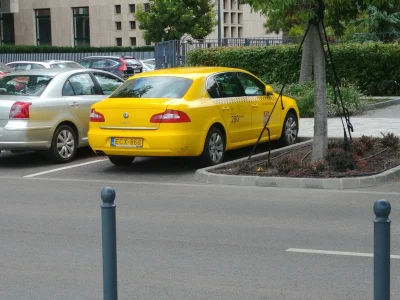 twister2001 - #taxizlotowa po Budapeszcie tera jeździ!