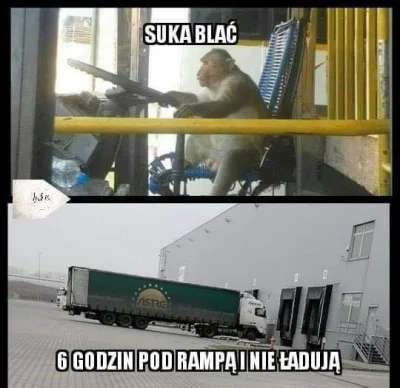 tabarok - #bekaztransa #humorobrazkowy