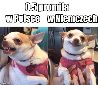 DROPTABLEusers - @PanKompromitacja: haha polaki robaki niewolnicy muszą mieć wydany r...