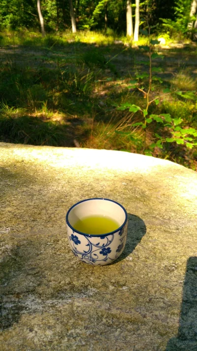 tomosano - Zielona herbata na łonie natury 

I tak się powoli żyje w tym lesie ( ͡° ͜...