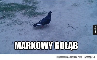 Szaklak - Gołomp Nike. U nas na dzielni nawet gołębie są prawilne.
#heheszki #humoro...