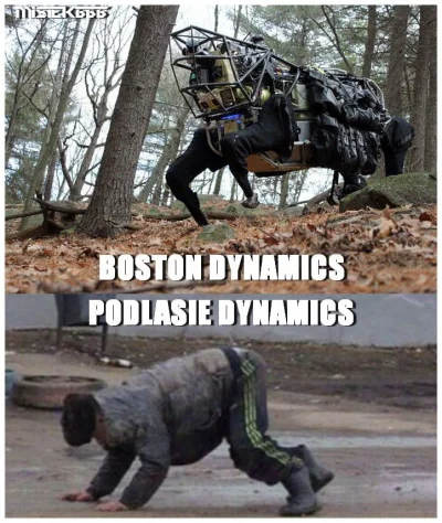intri - @starnak: Boston już prawie dogania techniką Podlasie