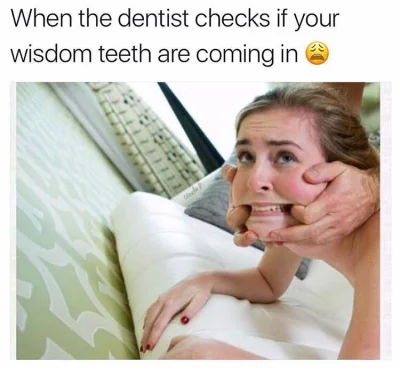 BoaDupczyciel - Jak tam? Kontrola zębów odbyta? ( ͡º ͜ʖ͡º)
#bylosobieporno #humorobr...