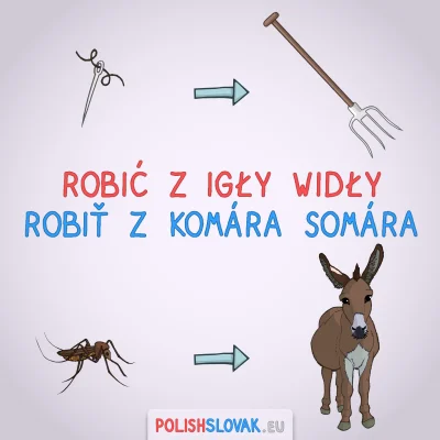 PolishSlovak - Robić z igły widły czy robić z komara osła? :D

#slowacki #polishslo...