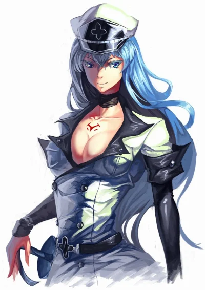 H.....e - #randomanimeshit #akamegakill #esdeath 

#pixiv - Autor