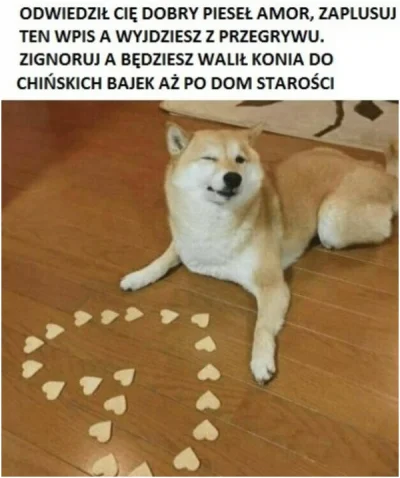 Jogi4 - #przegryw #doge #takaprawda