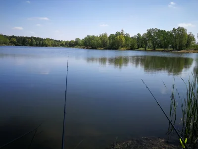 Ricx - I tak tu się powoli żyje na tej wsi... #wedkarstwo