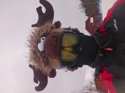 rolnik_wykopowy - Pozdrowienia z Laskowej, Mirki ( ͡° ͜ʖ ͡°) #narty #snowboard #zima