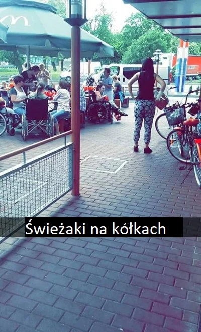 tofik949 - nowa edycja świżaków XDDDDD
#czarnyhumor