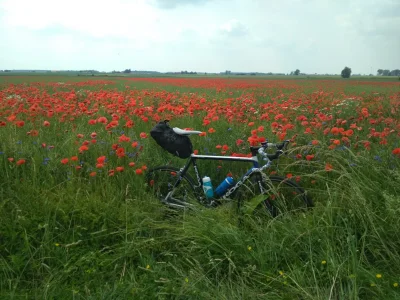 Cymerek - Halo halo #rowerowalodz 
Dzisiaj byl mój ostatni dzień towarzyszenia na wyp...